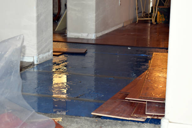 Professional Flood Cleanup technician working in Malone, WI